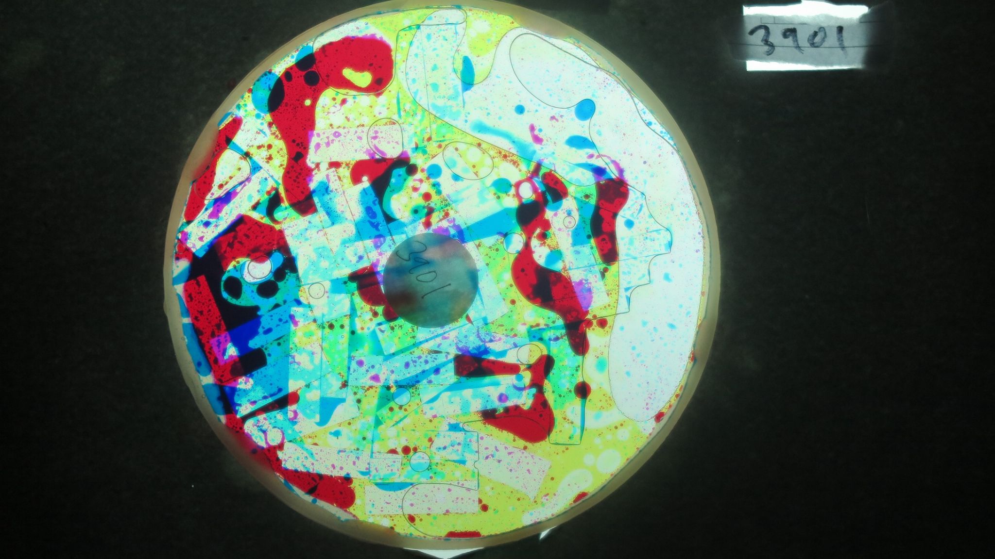 BV3901 bubble vision oil wheel1